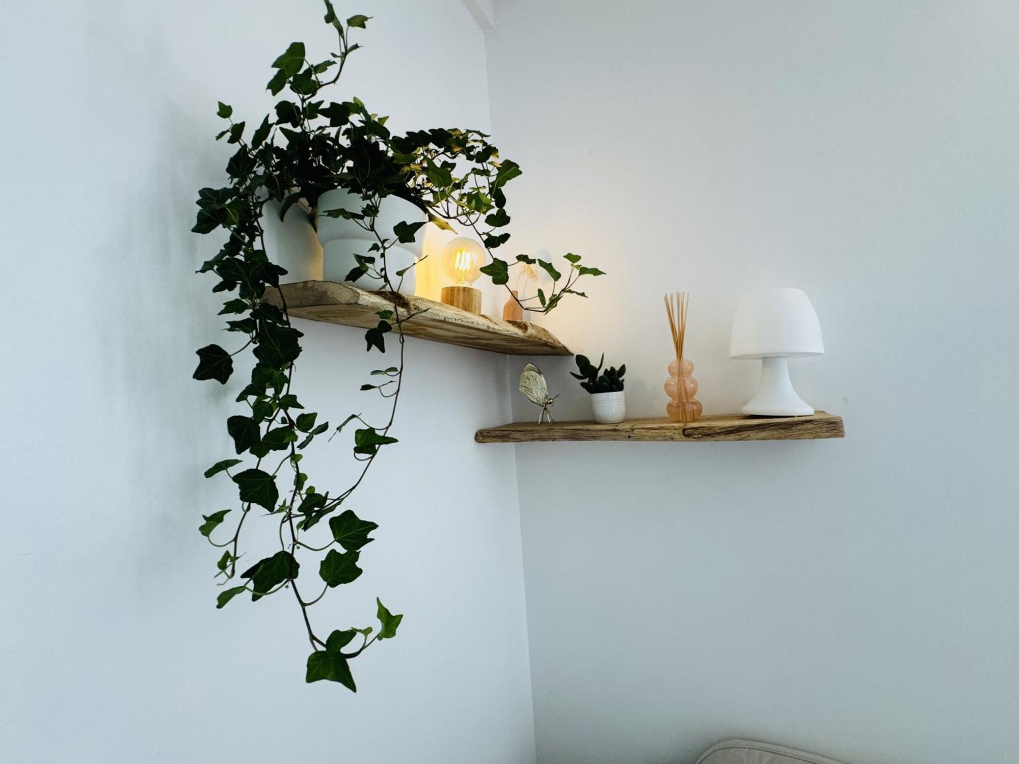 Le Piccolo - Appartement Cosy - Wifi Bègles Buitenkant foto